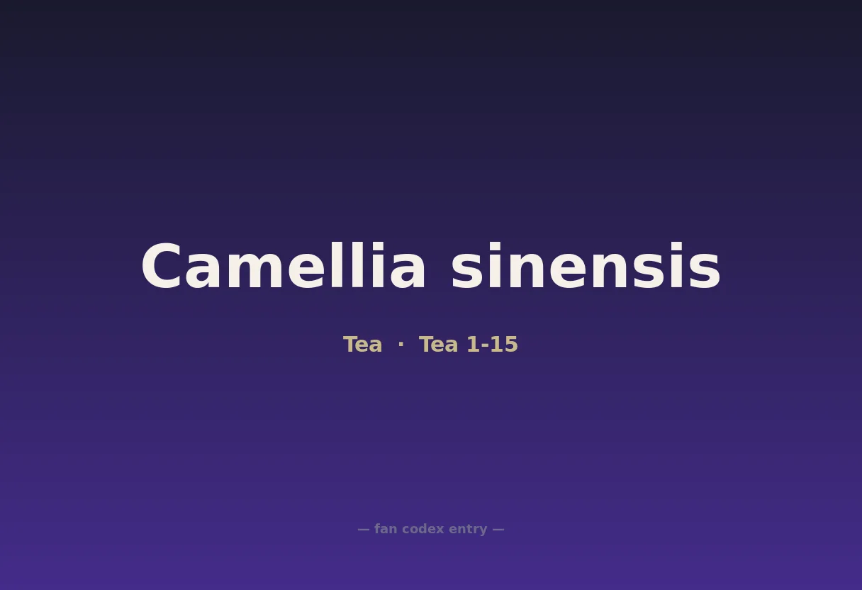 Camellia sinensis
